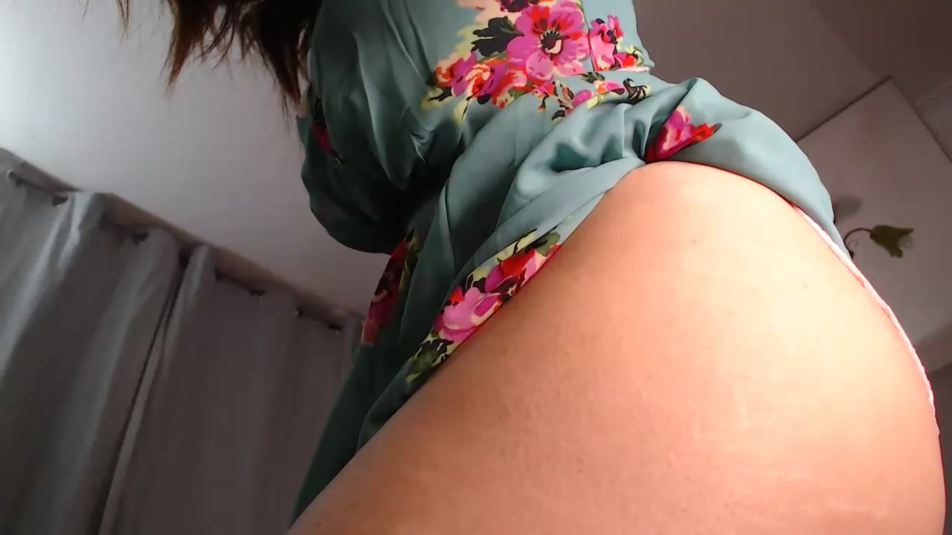 WildPersian video thumbnail