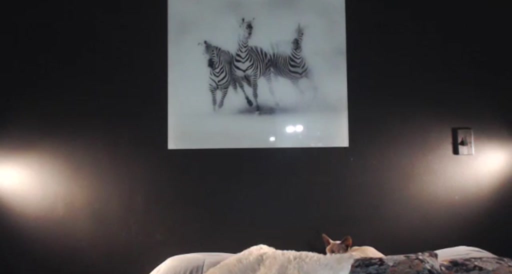 PrincessLeah_ video thumbnail