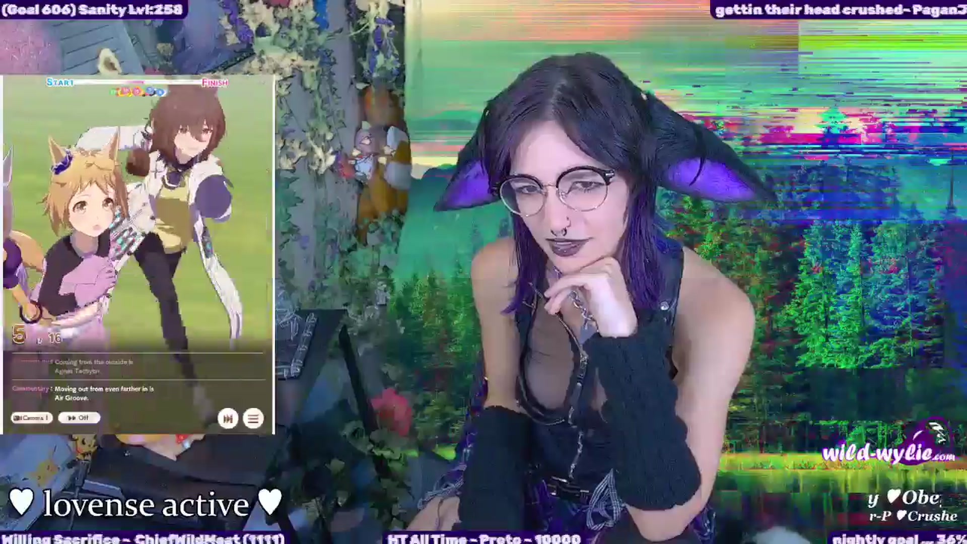 WildWyliePM video thumbnail