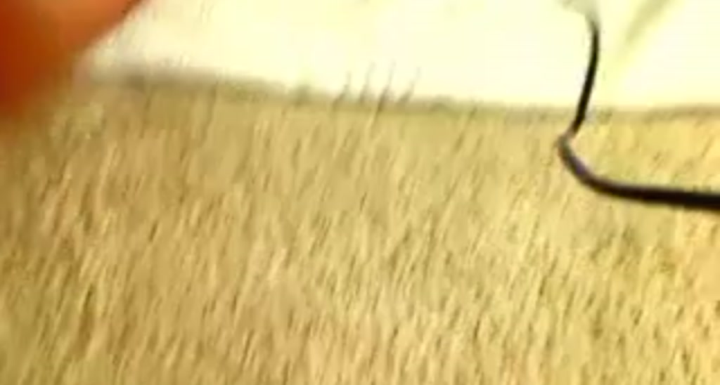 LittleBoo_ video thumbnail