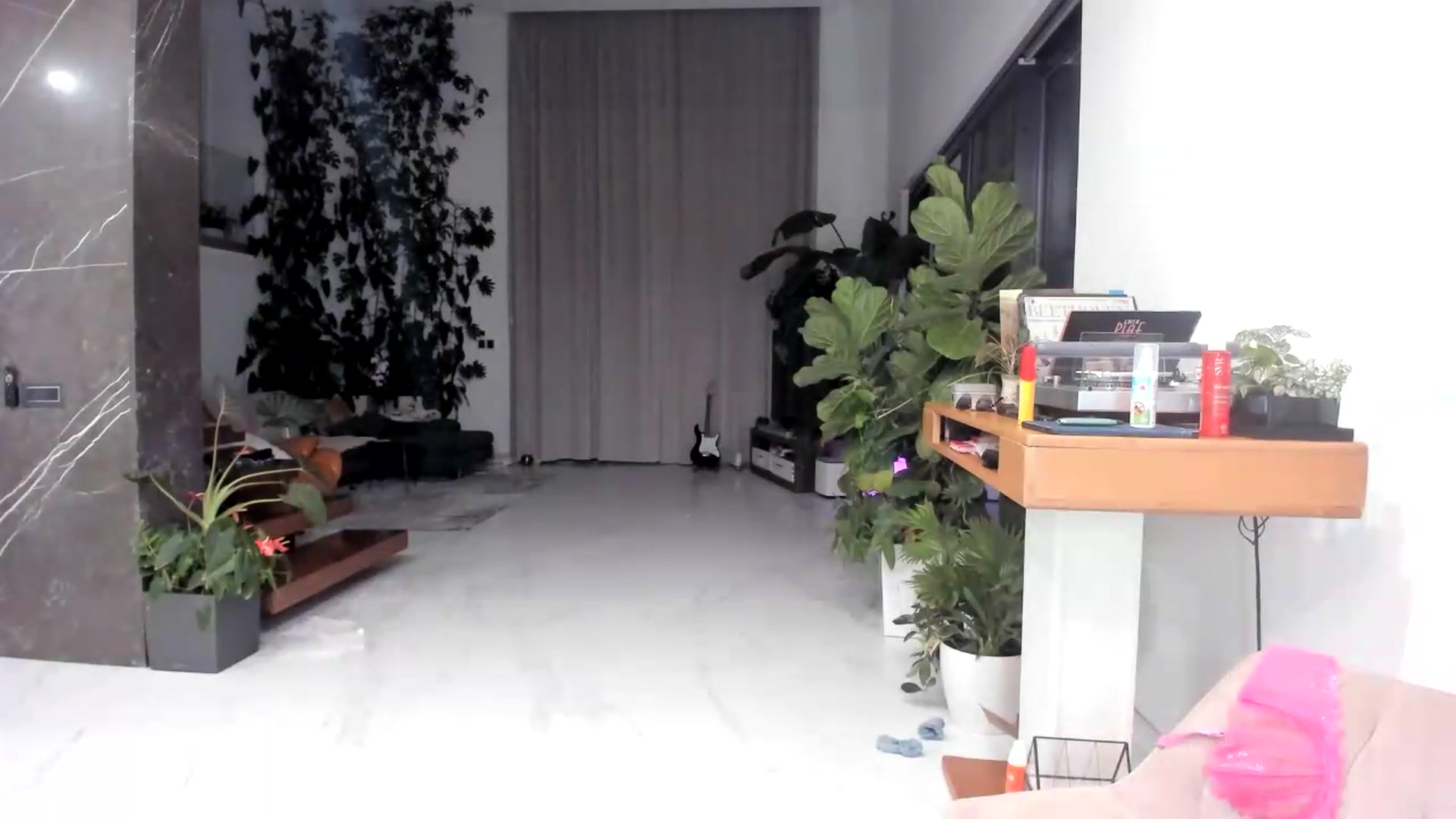 BibiPurrsaLot video thumbnail