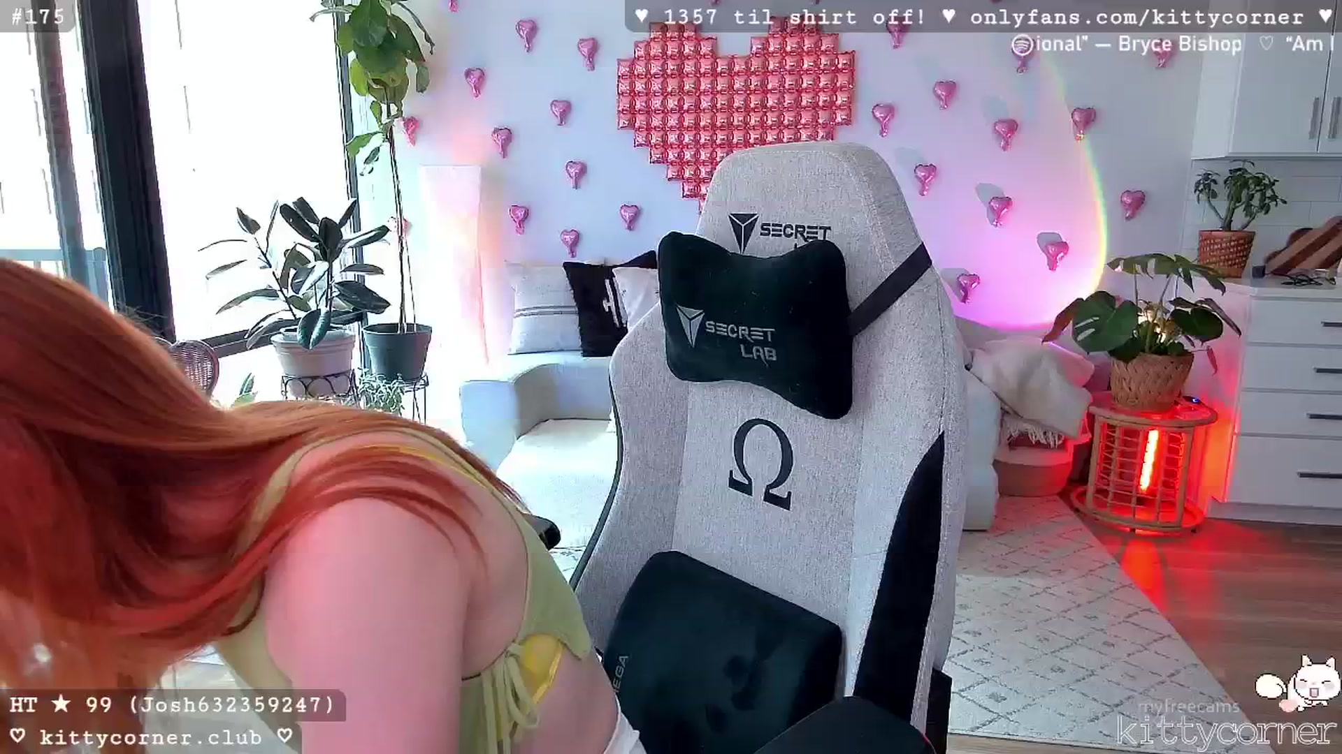 KittyCorner video thumbnail