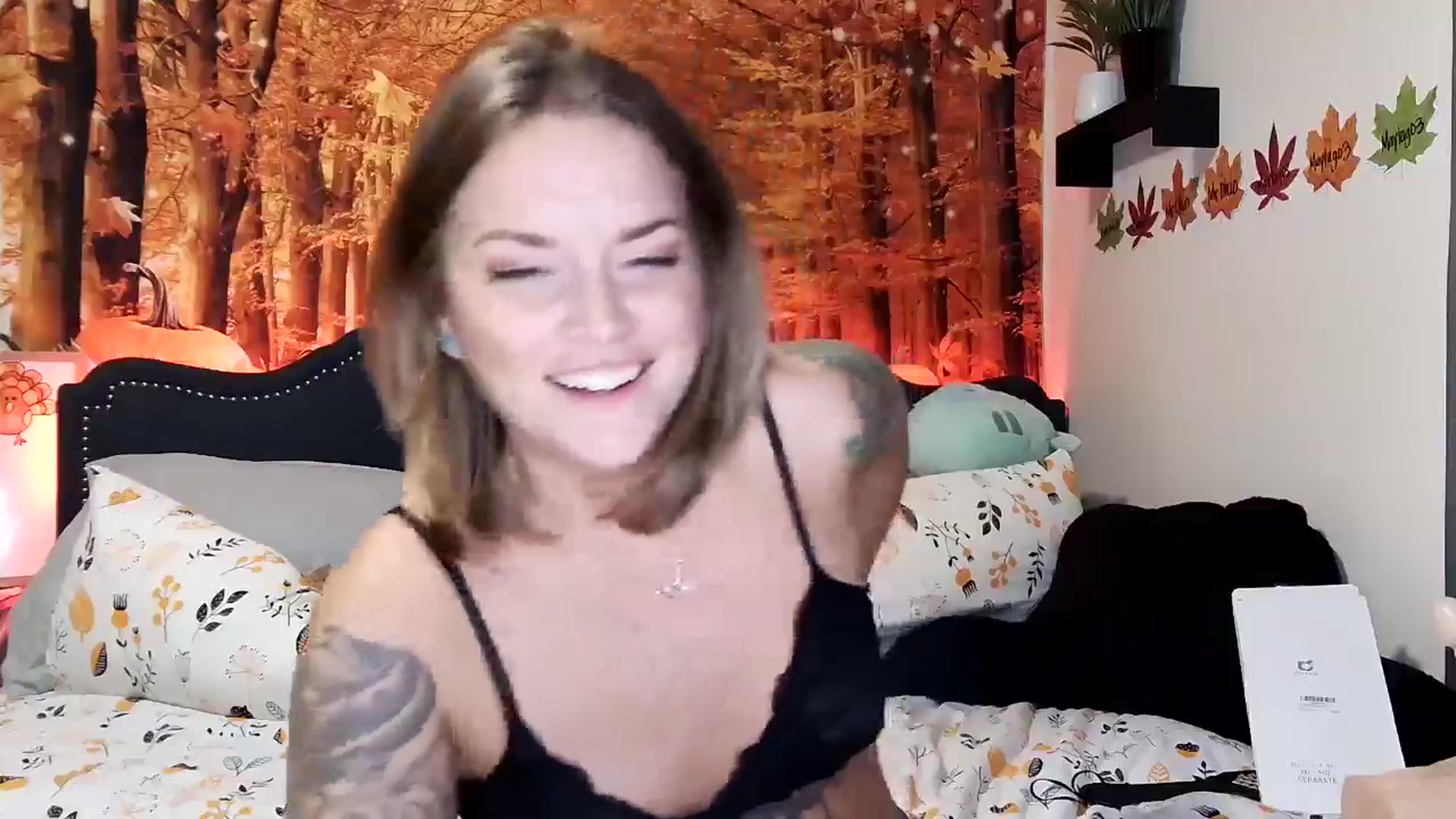 Rose_Kitten video thumbnail
