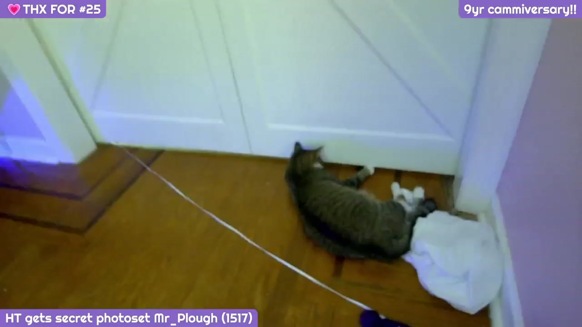 MollySnacks video thumbnail