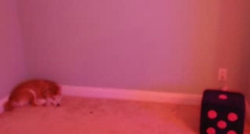 SinCityVEE video thumbnail