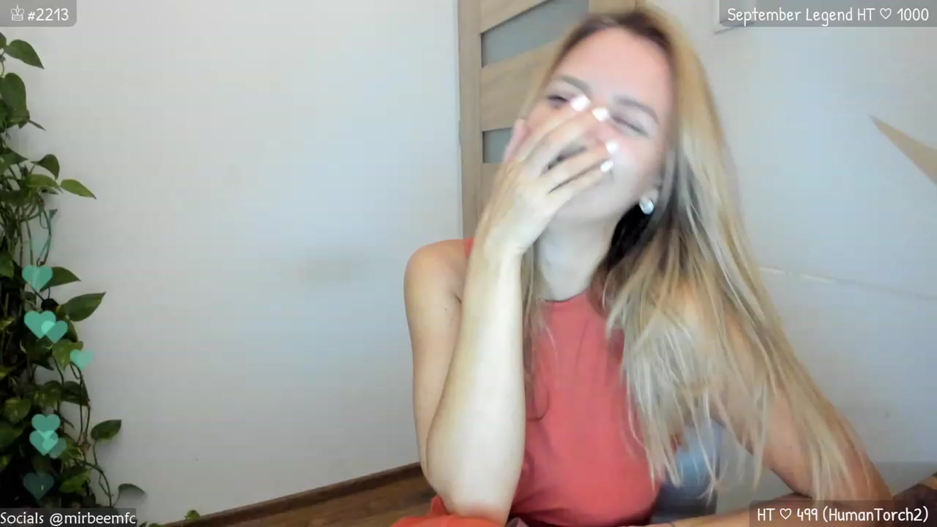 MirBee video thumbnail