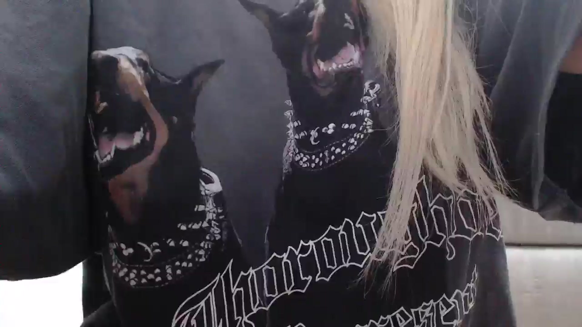 AllleeS video thumbnail