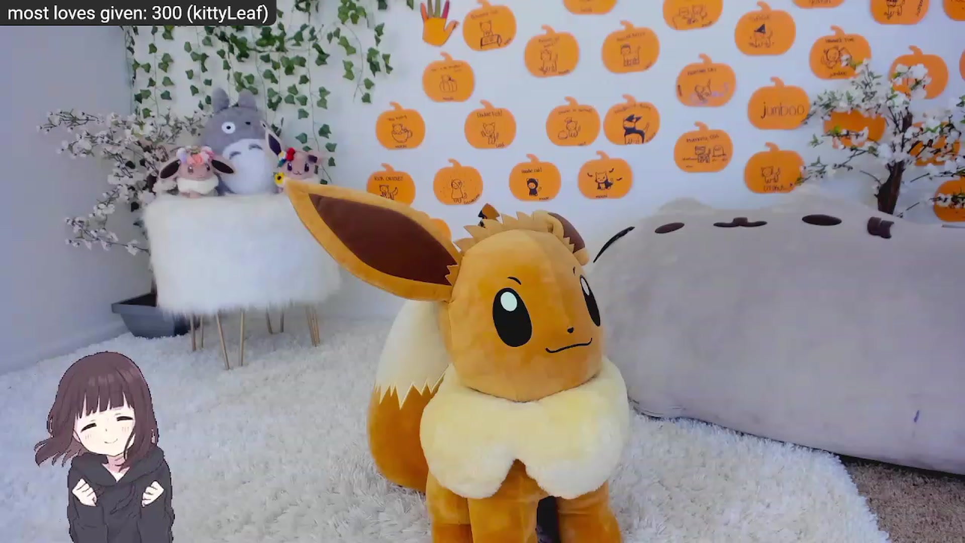 Kitty video thumbnail