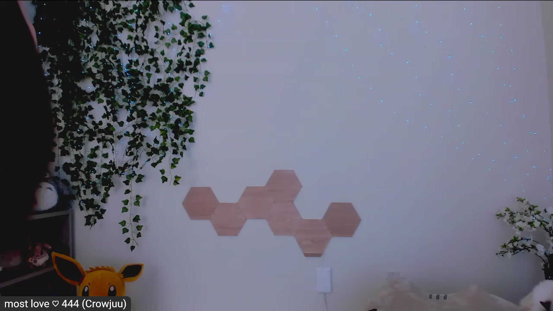 Kitty video thumbnail