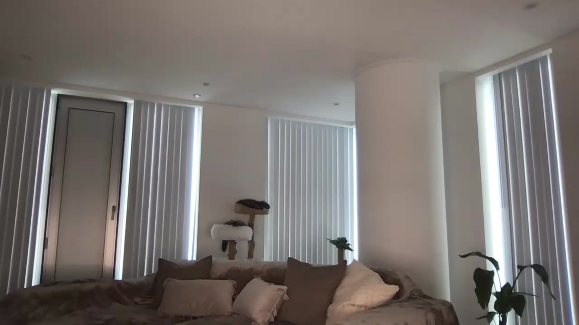 Dreamy_Peach video thumbnail