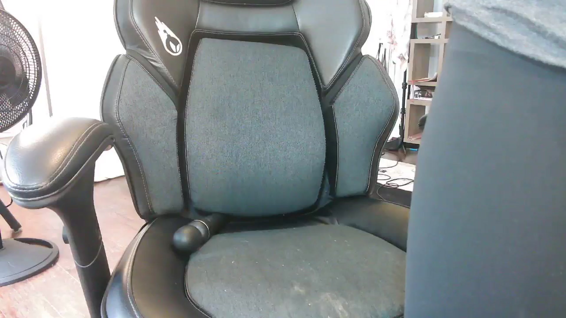 Bunnydathug video thumbnail