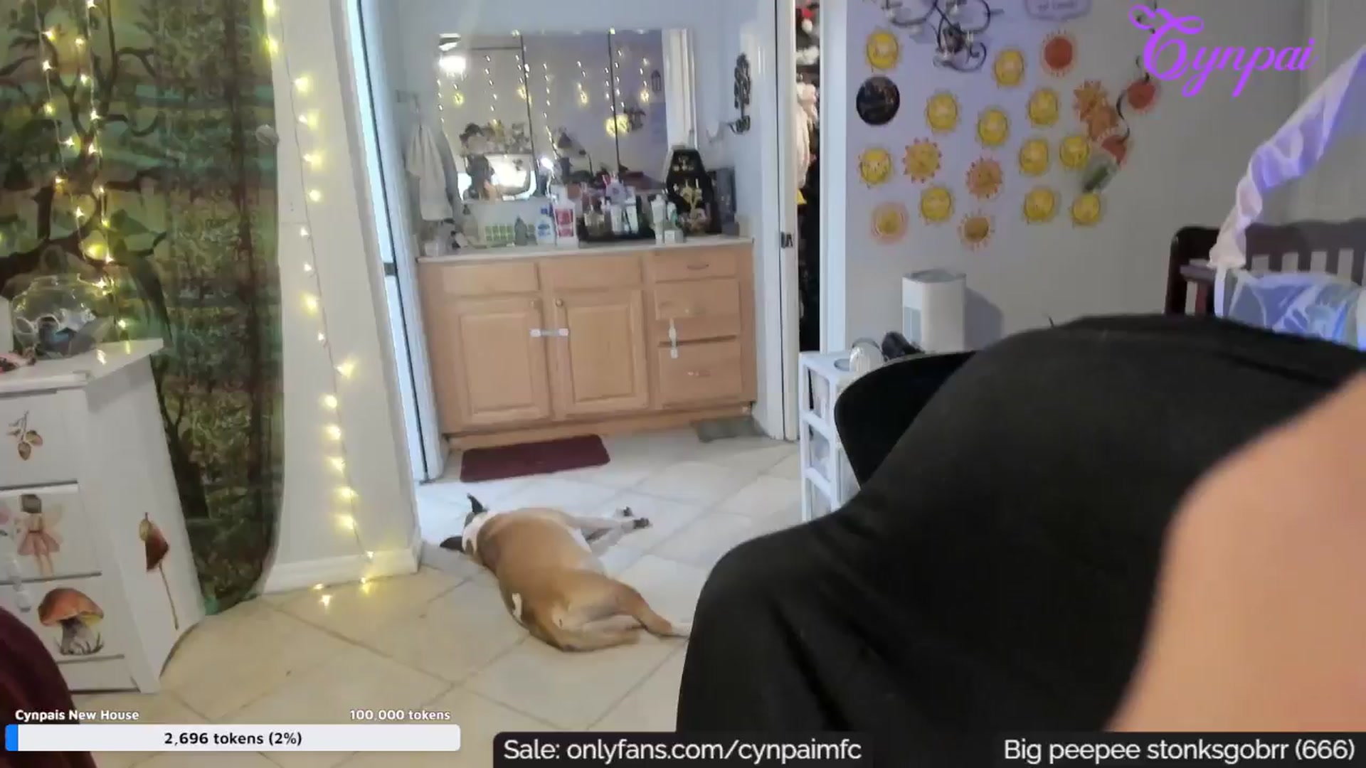 CynPai video thumbnail