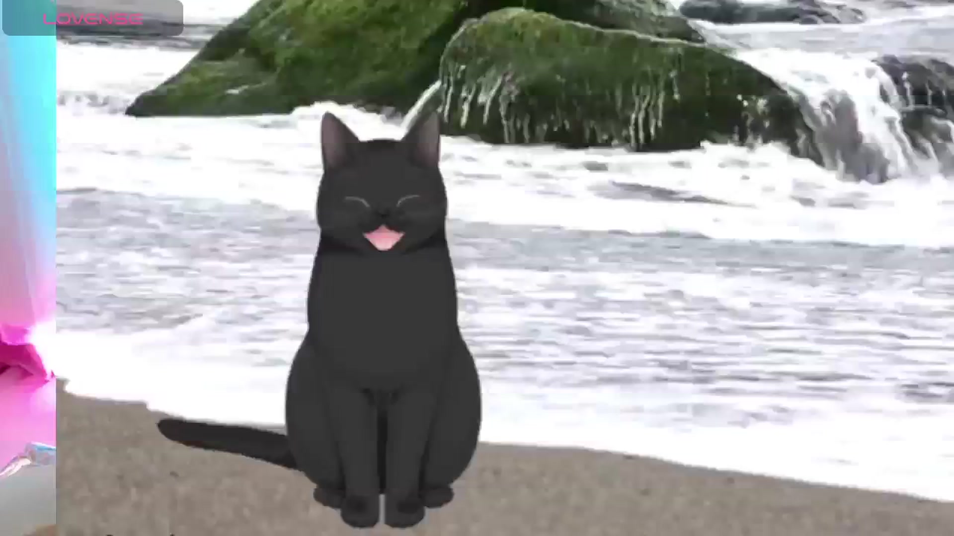 meowtheworld video thumbnail