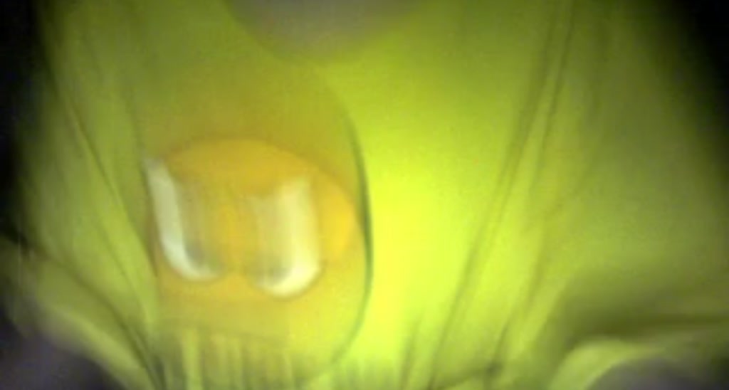 ferretsalad video thumbnail