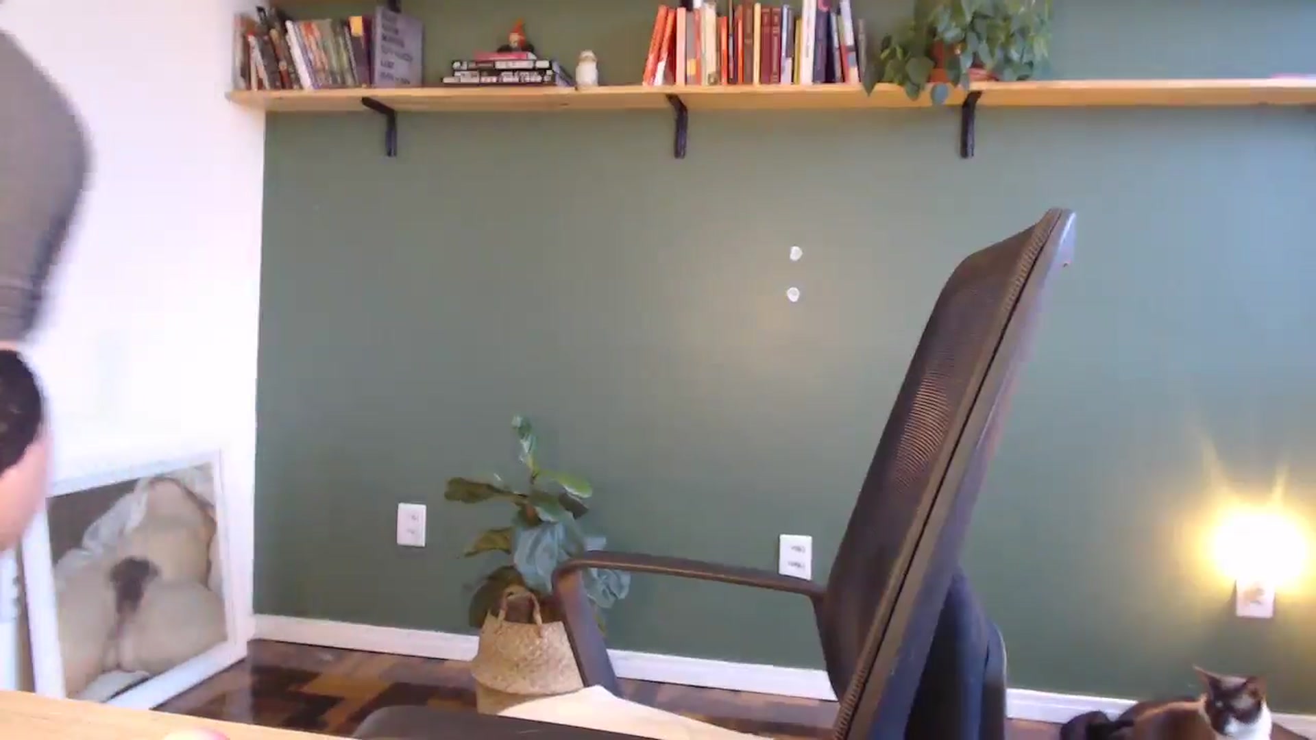 Demmetria video thumbnail