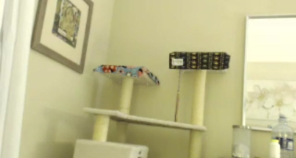VLotusLounge video thumbnail