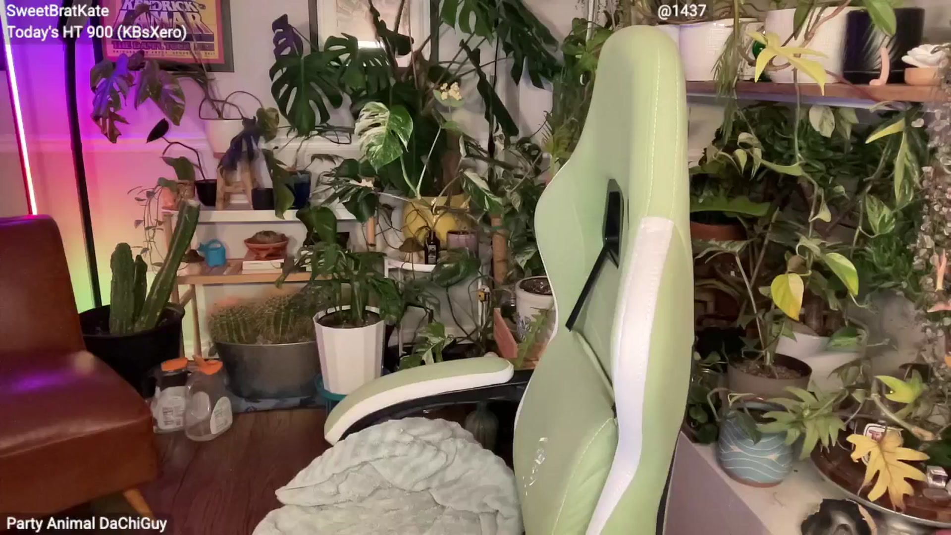 SweetbratKate video thumbnail