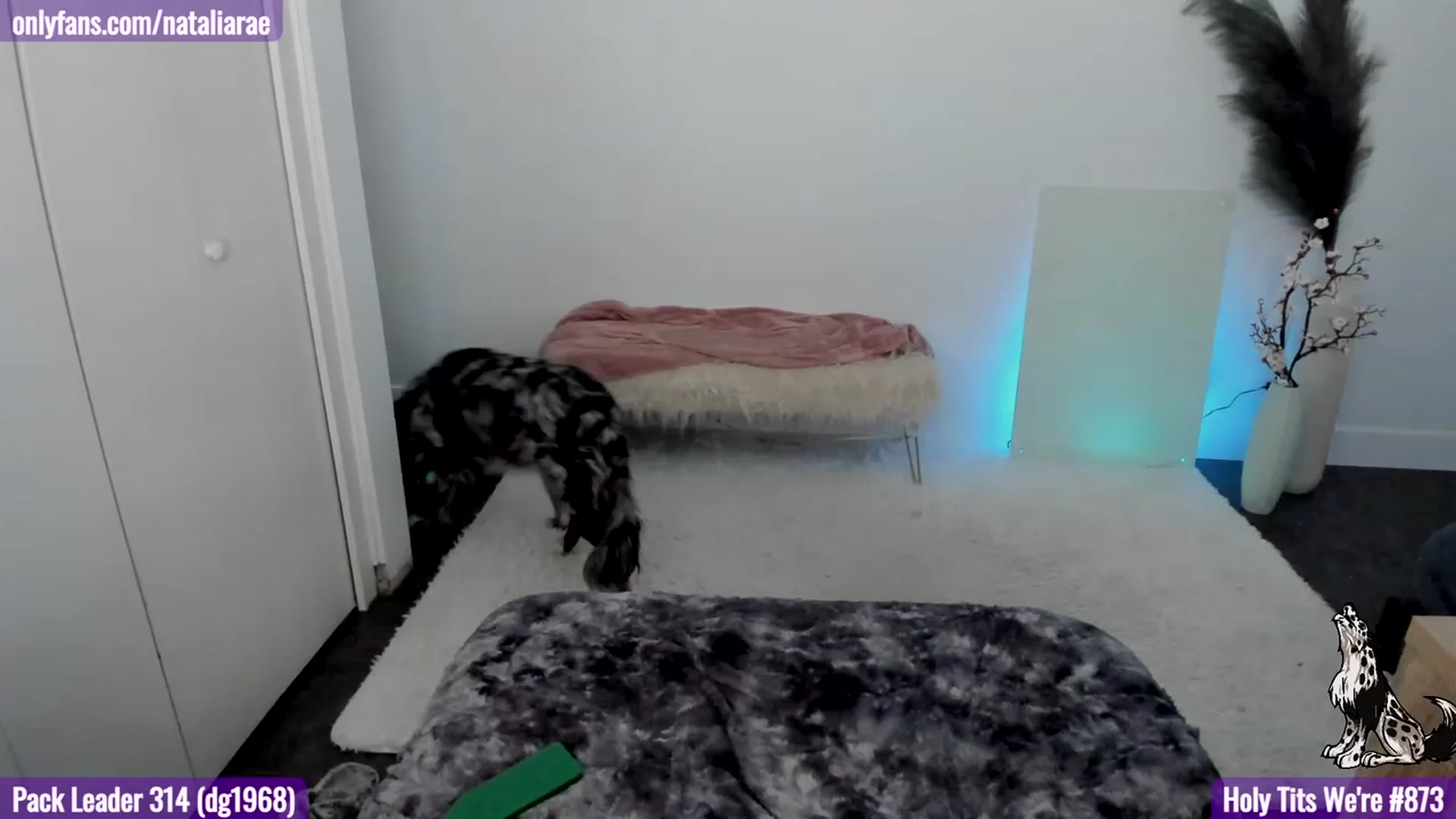 Natalia_Rae video thumbnail