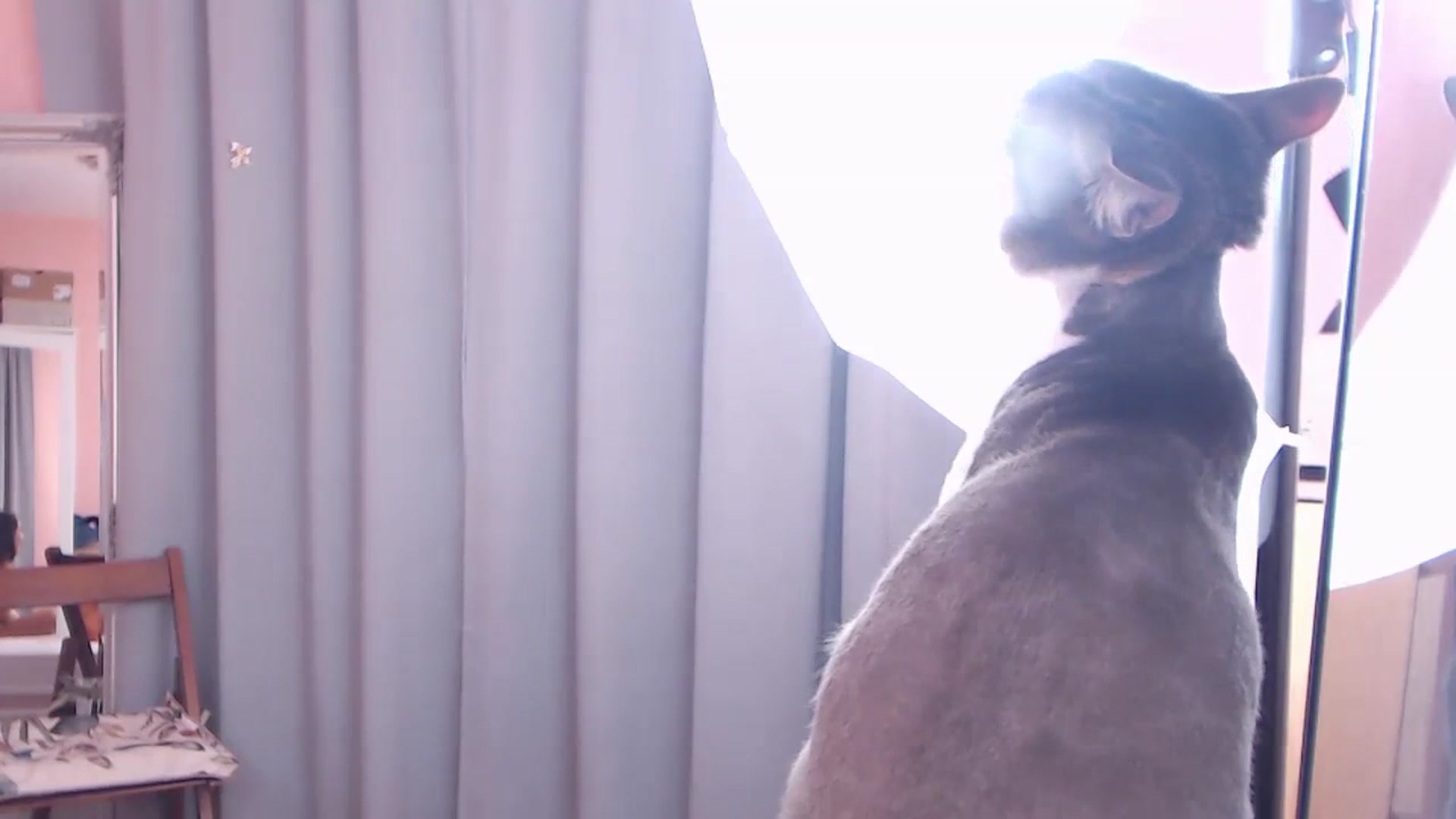 Sara_Joy video thumbnail