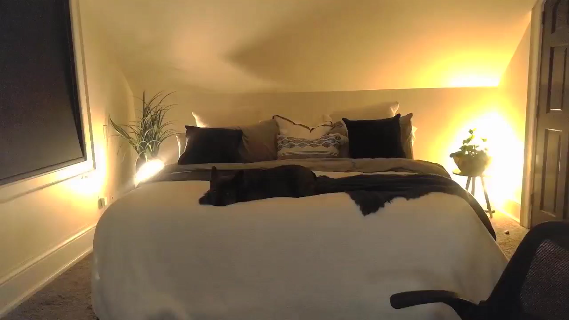 A1_Scarlett video thumbnail