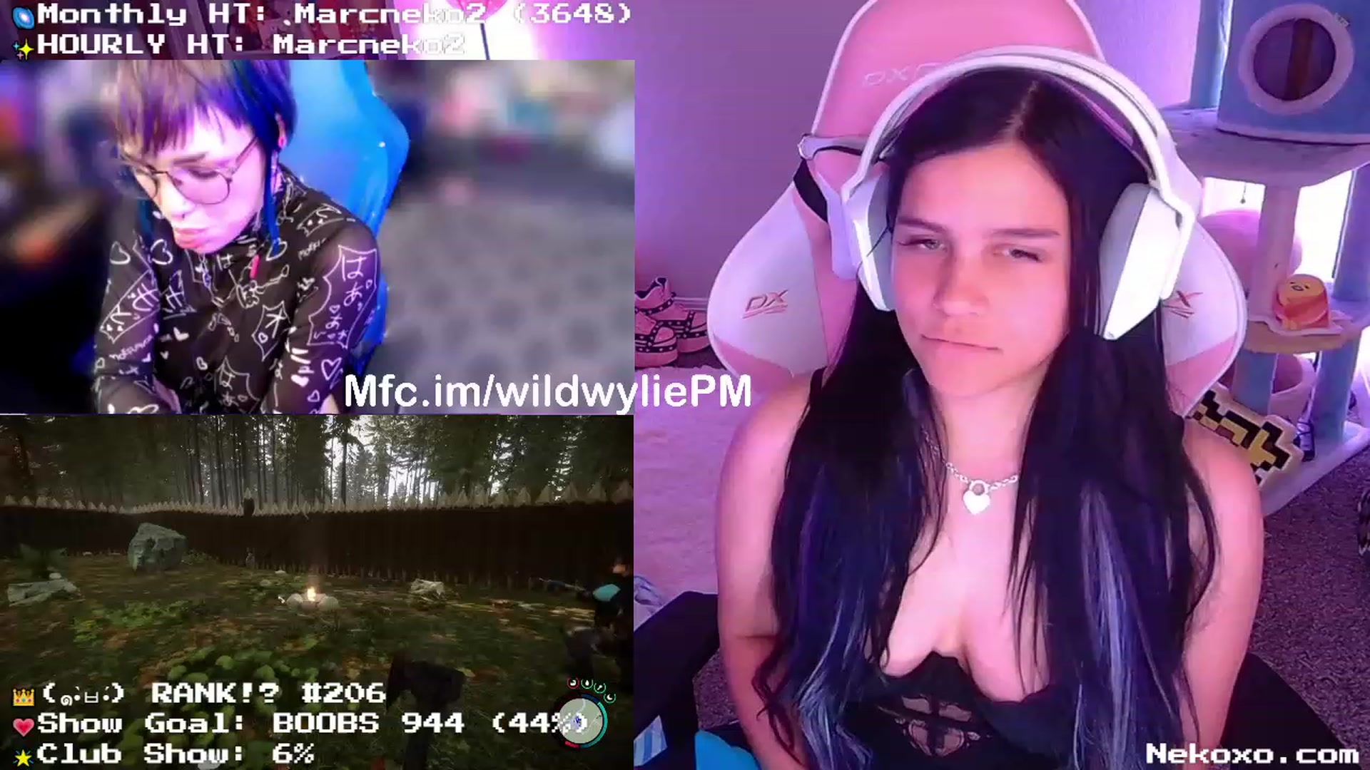 Nekobeanxo video thumbnail