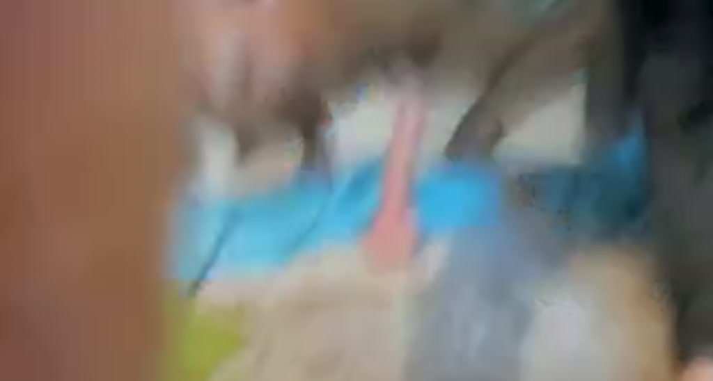 Lola_Foxxx video thumbnail