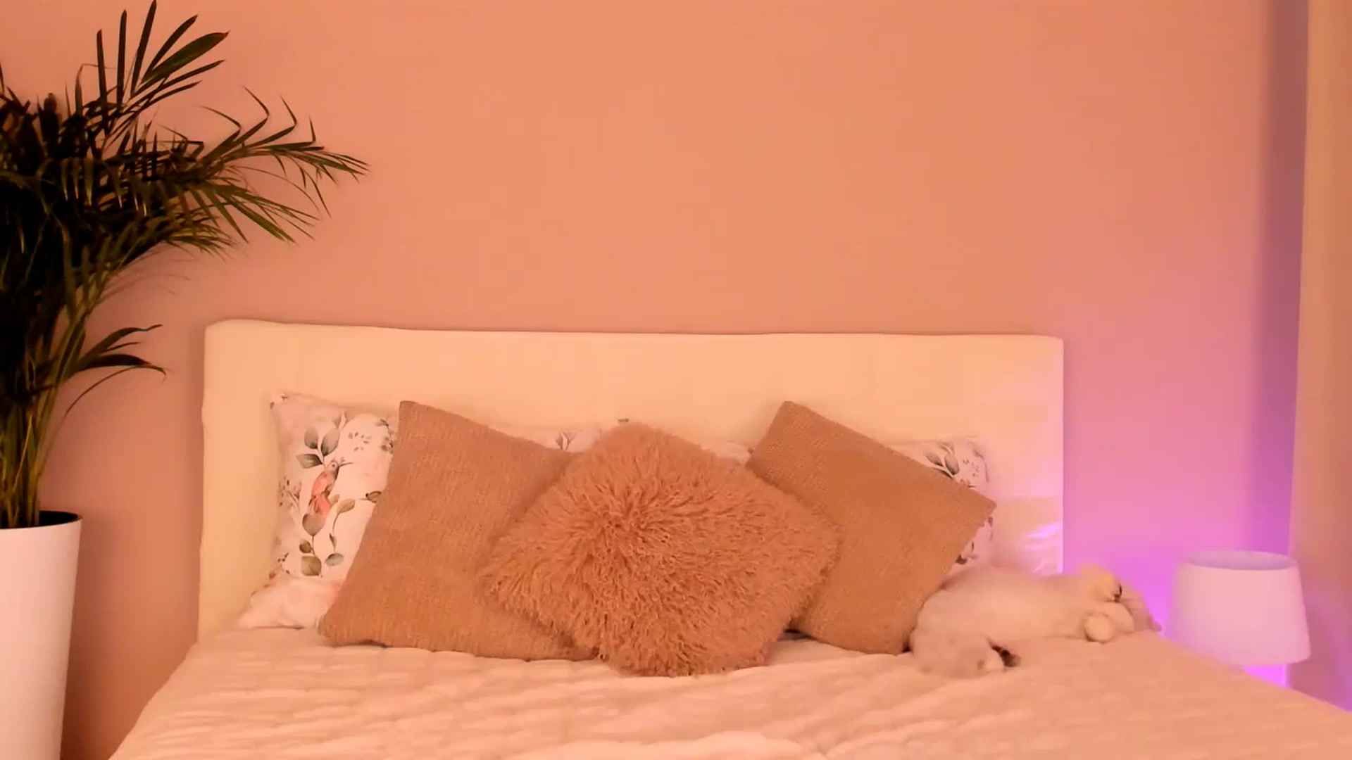 A__N_A_ video thumbnail