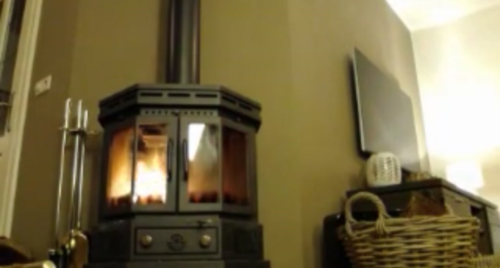 WildestKitten video thumbnail