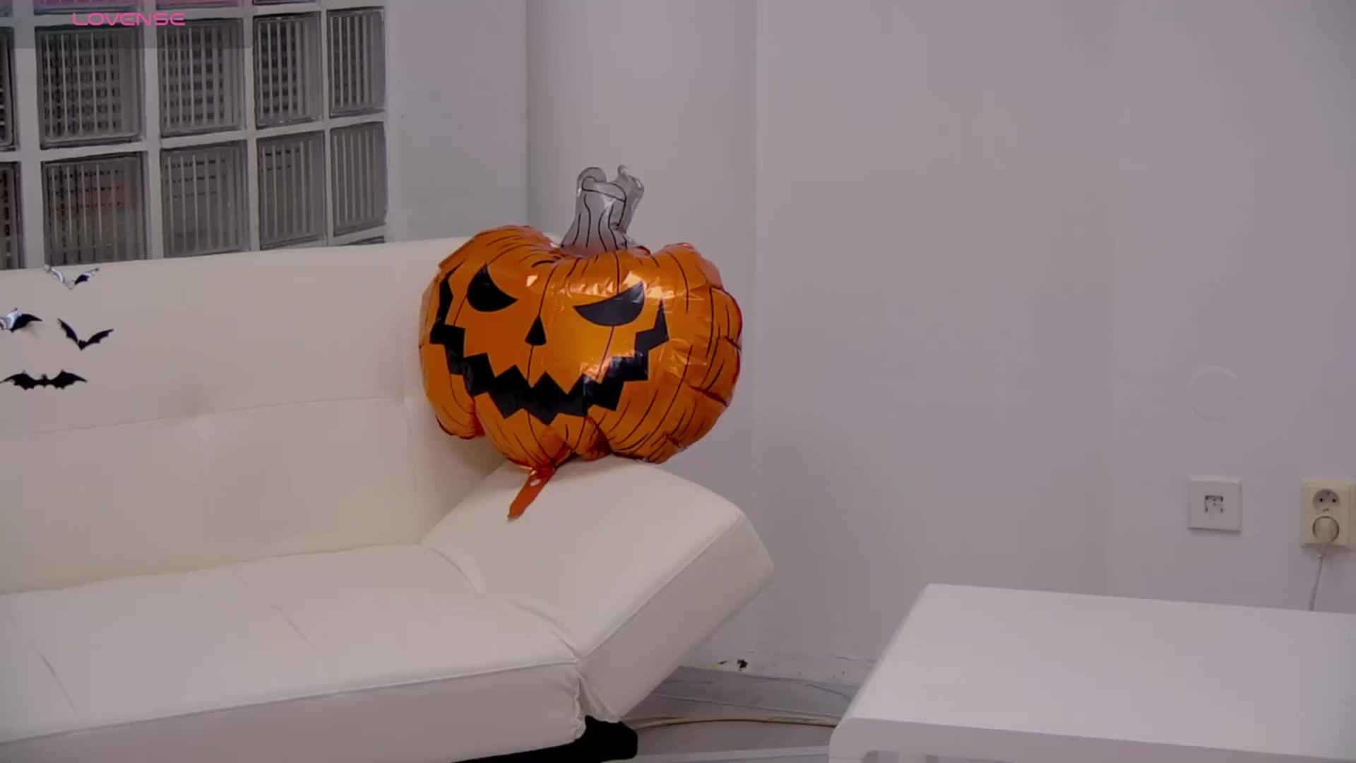 Squirrel_MFC video thumbnail