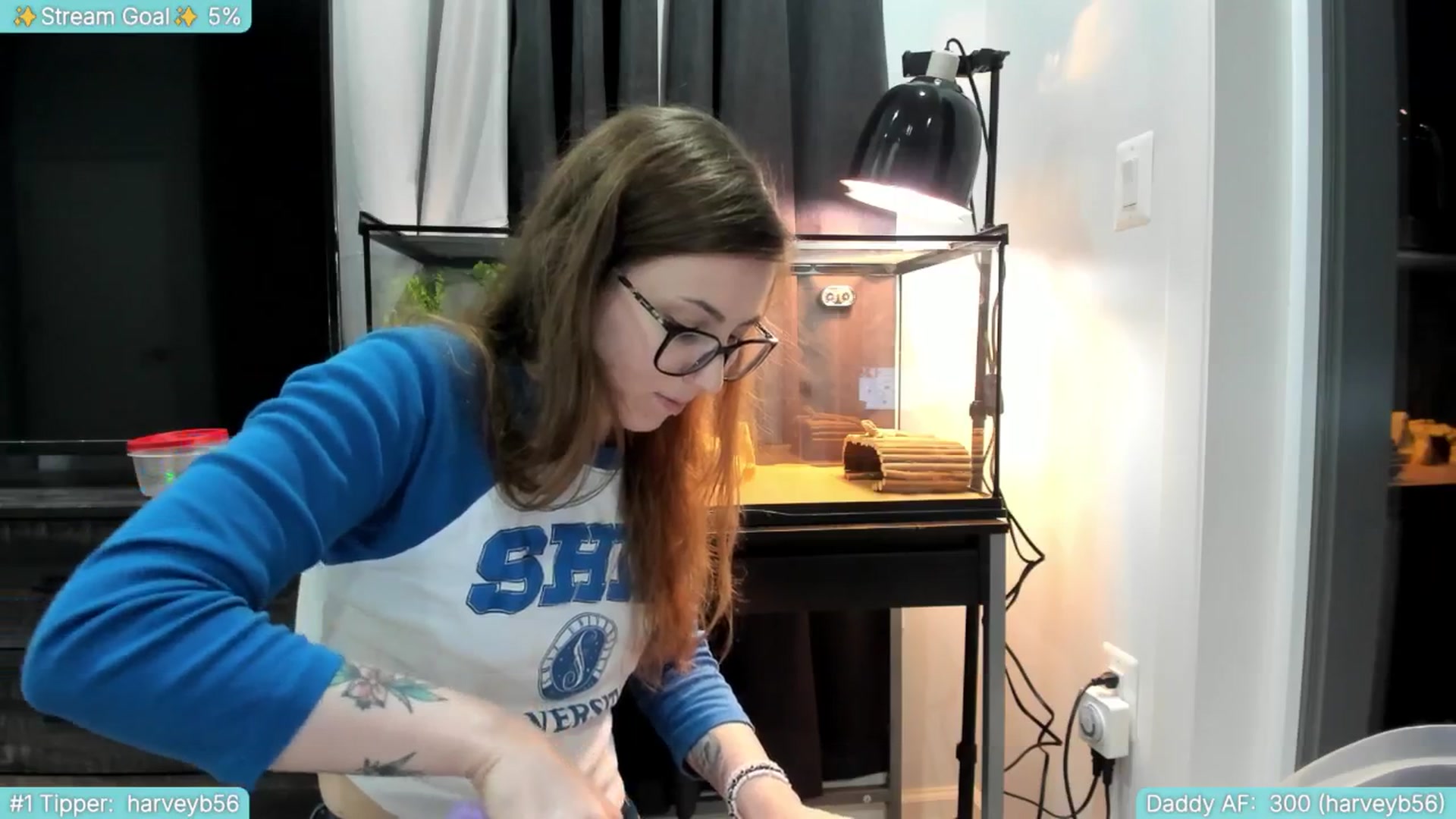 TheSharkQueen video thumbnail