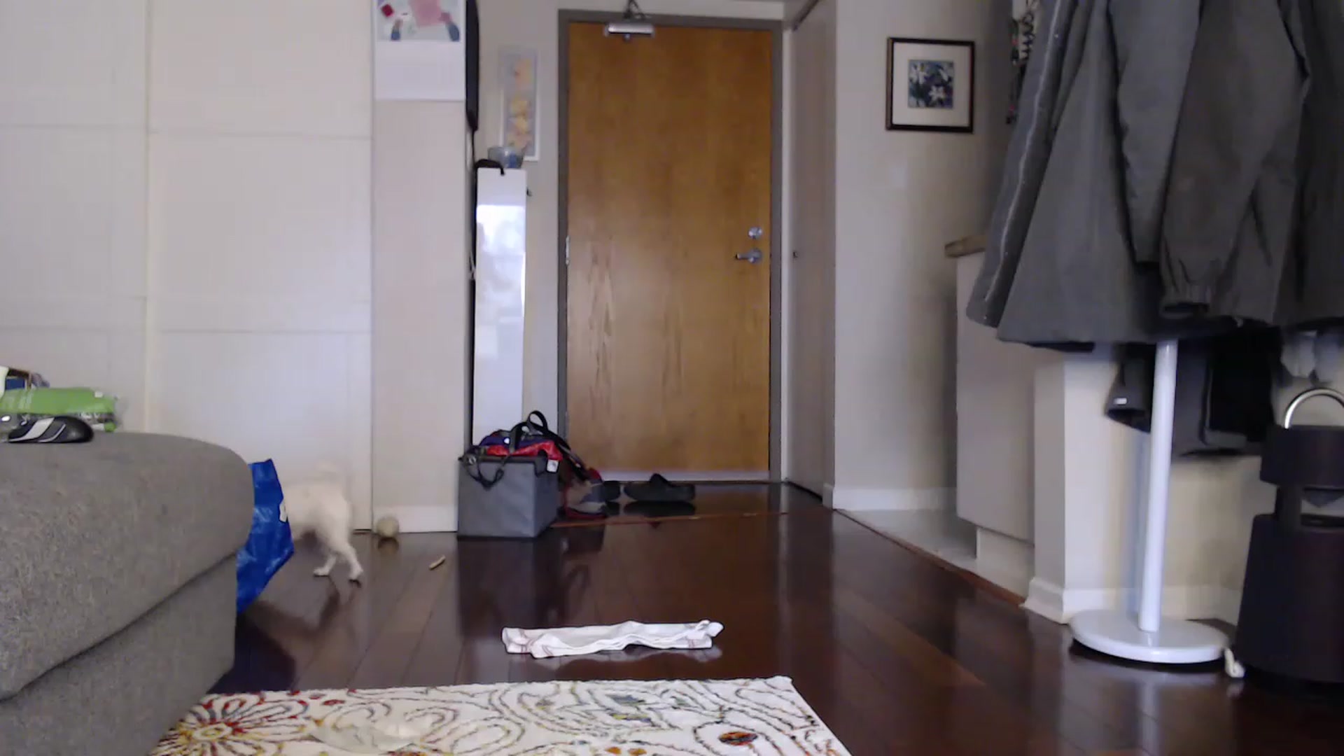 MuseThalia video thumbnail