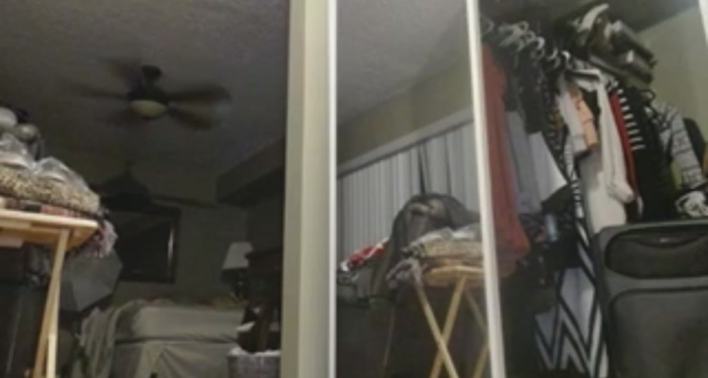 DahliaIsDopey video thumbnail