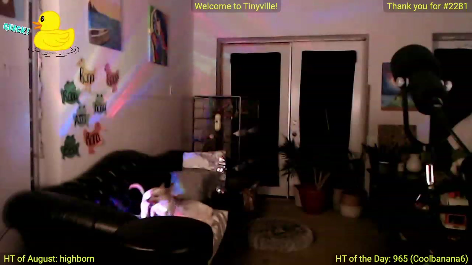 ATinyCassie video thumbnail