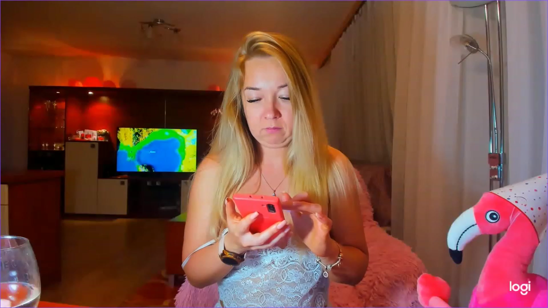 FlamingoDream video thumbnail