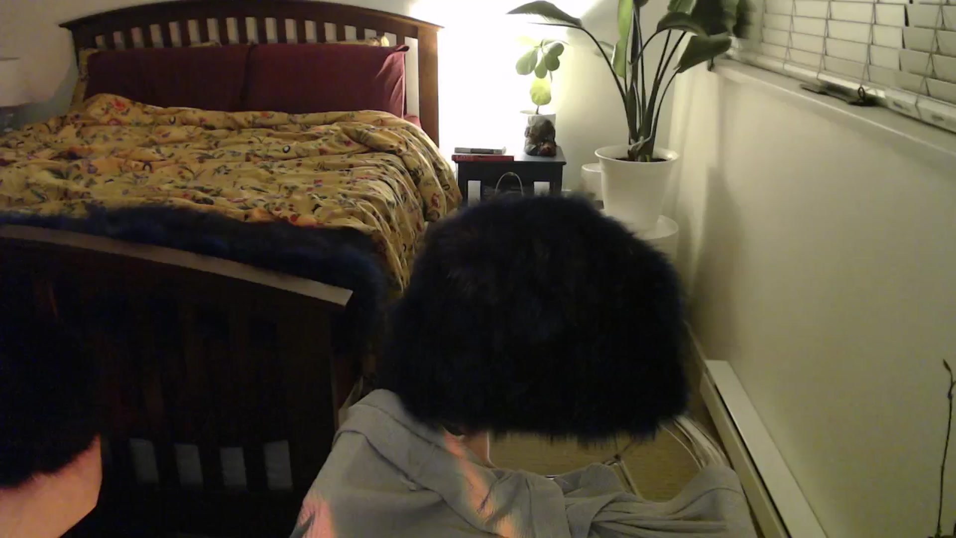 NahlaHoney video thumbnail