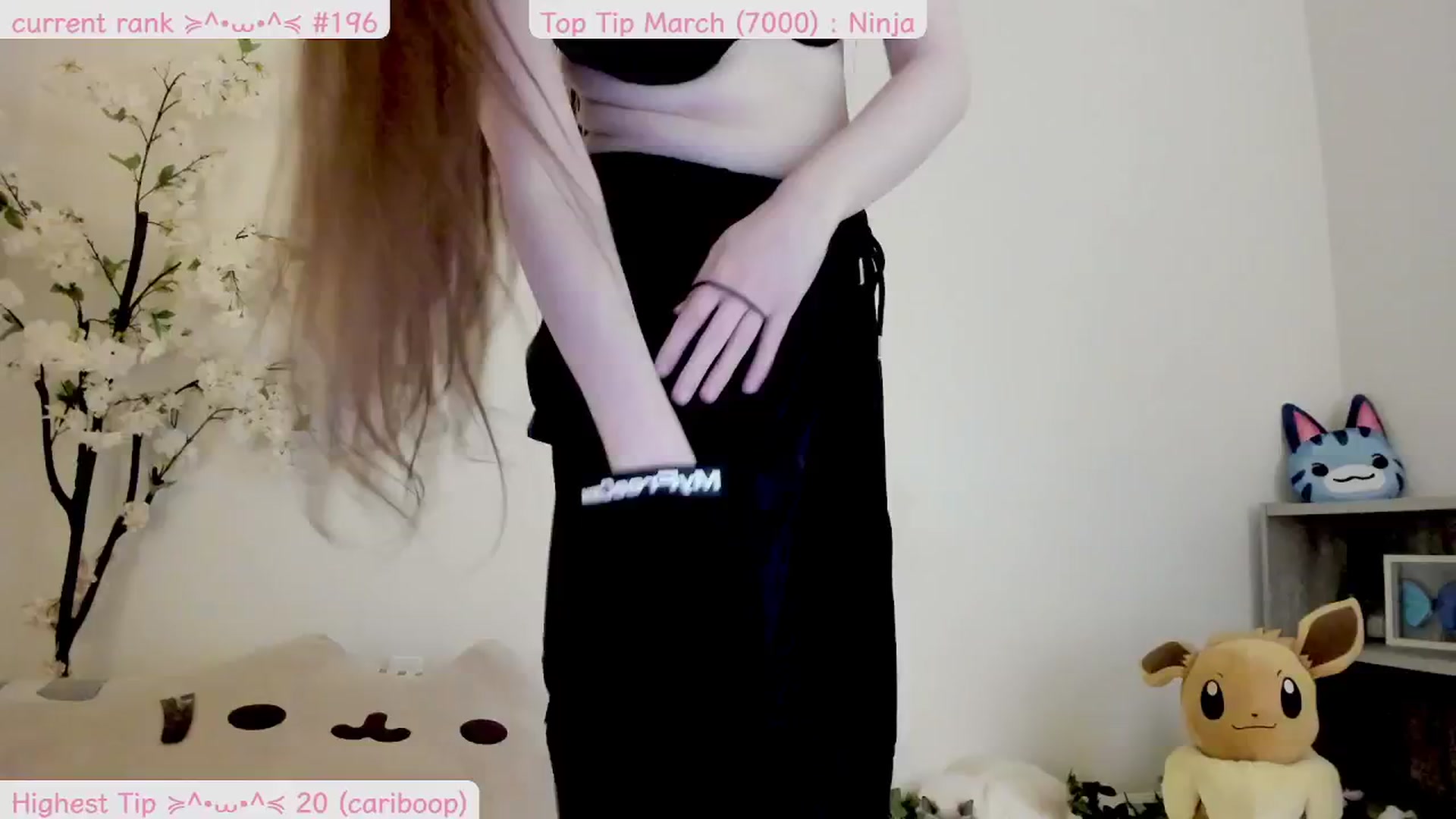 Kitty video thumbnail
