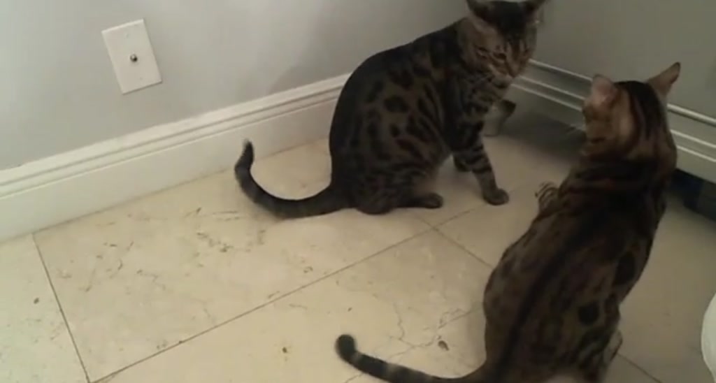ParisBaby_ video thumbnail