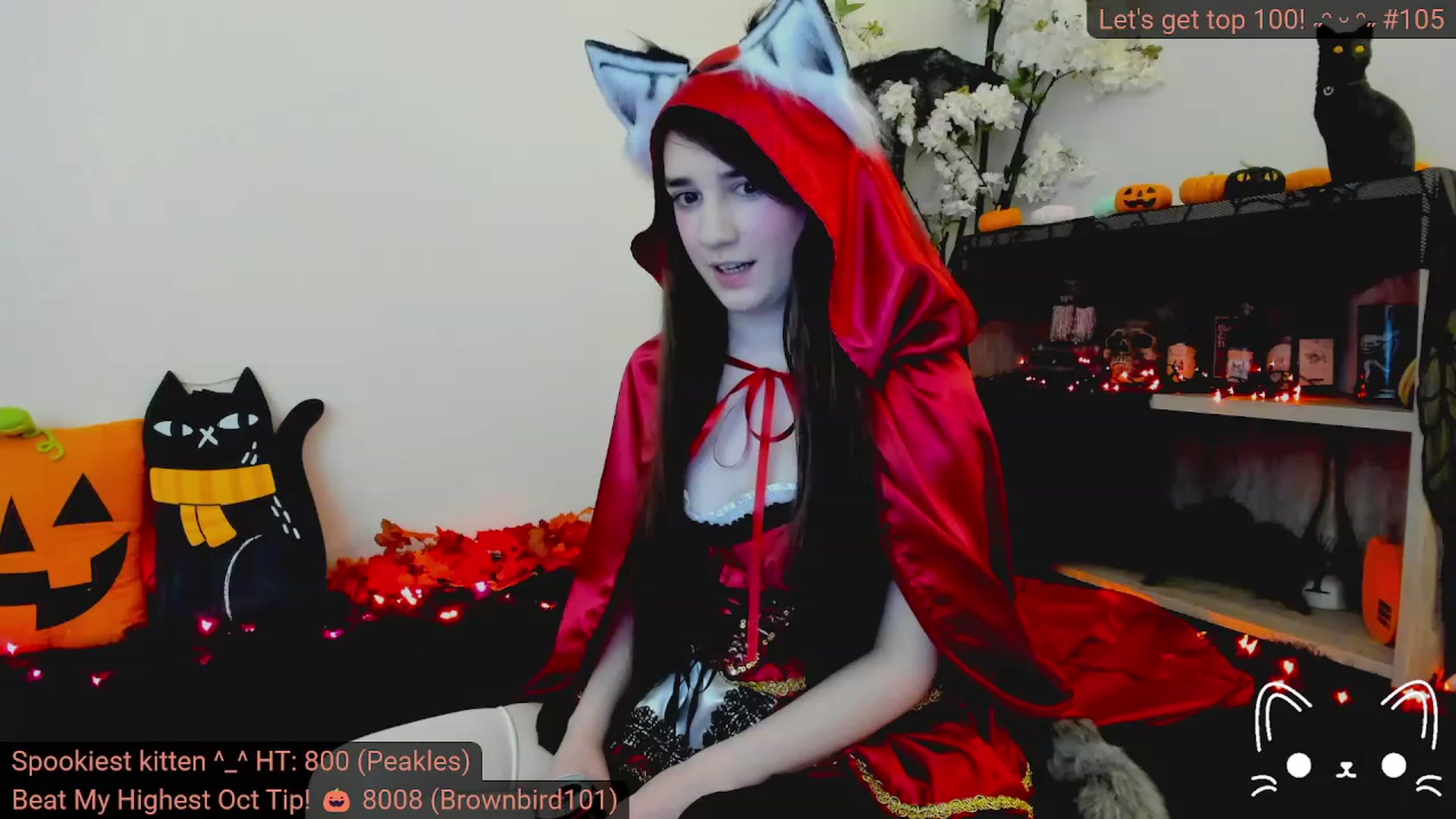 Kitty video thumbnail