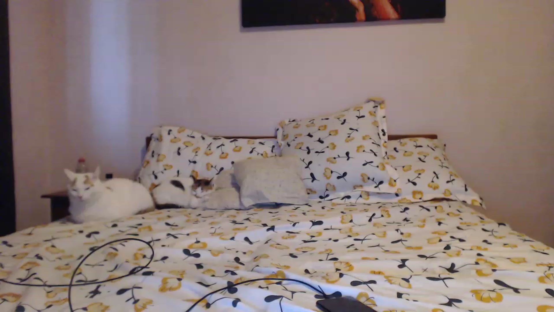Aahh_Emilia video thumbnail