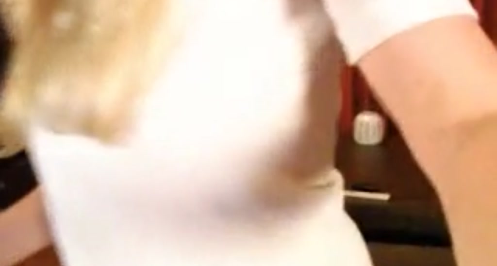 WildestKitten video thumbnail