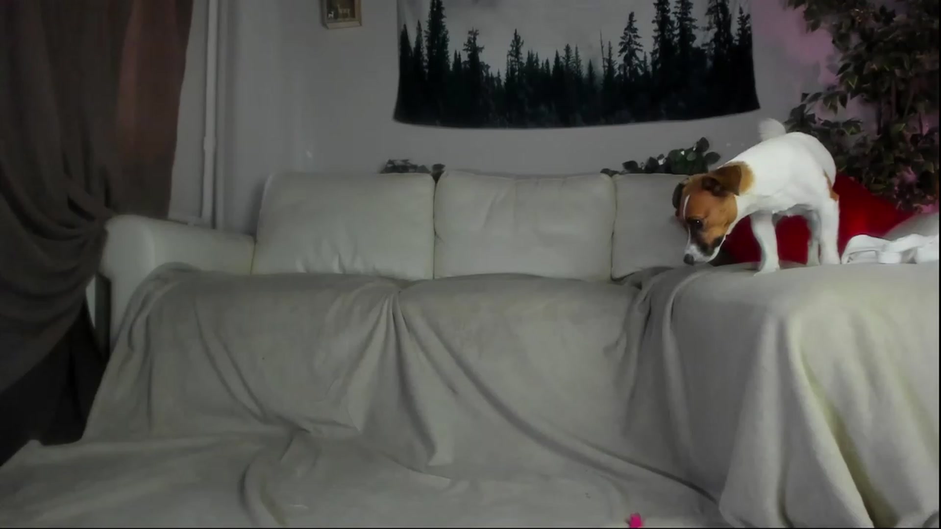 Littlewetgirl video thumbnail