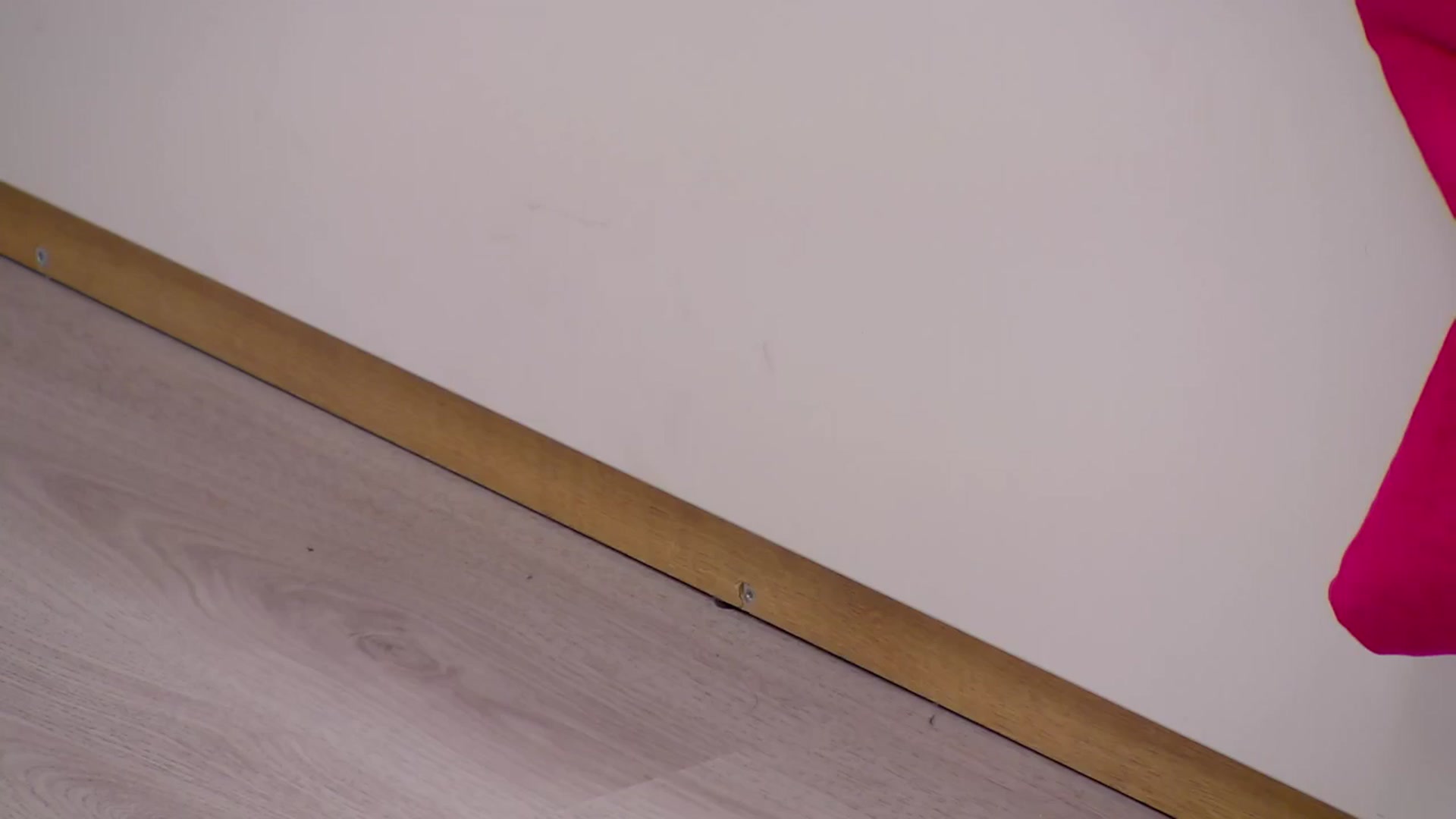 Squirrel_MFC video thumbnail