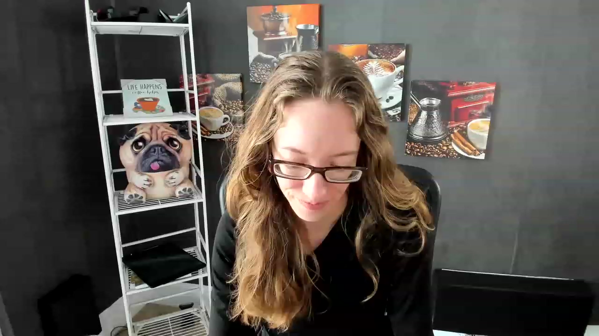 DocDropBear video thumbnail