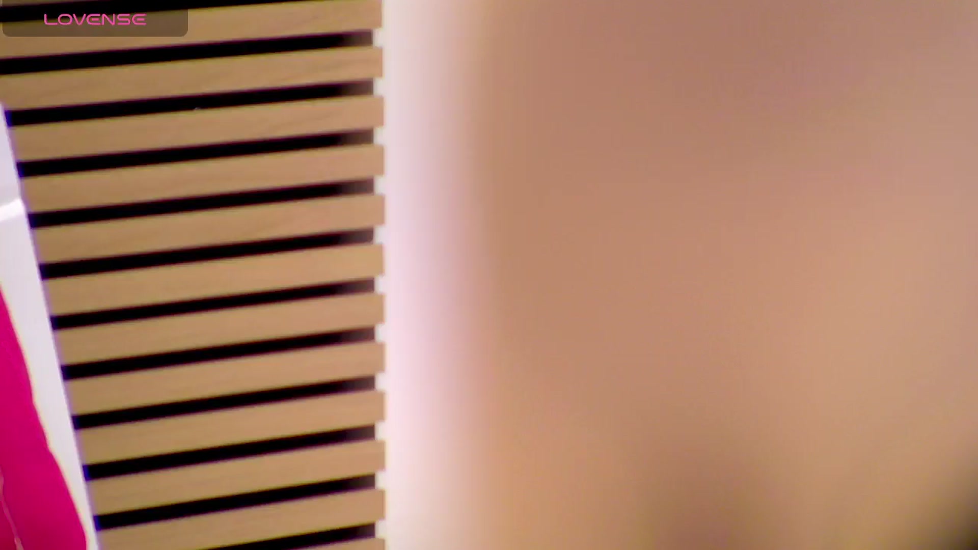 Squirrel_MFC video thumbnail