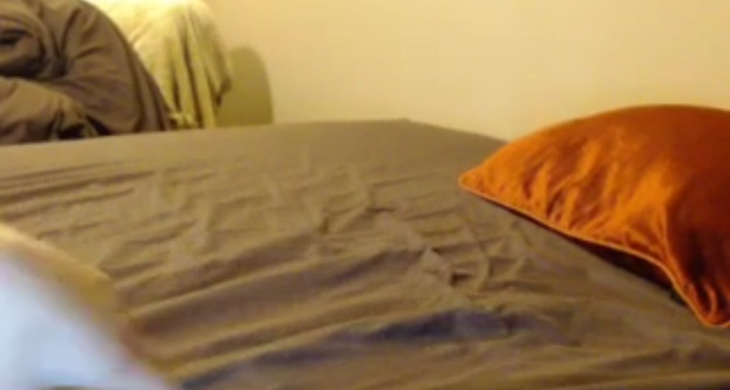 BunnyBounce_ video thumbnail