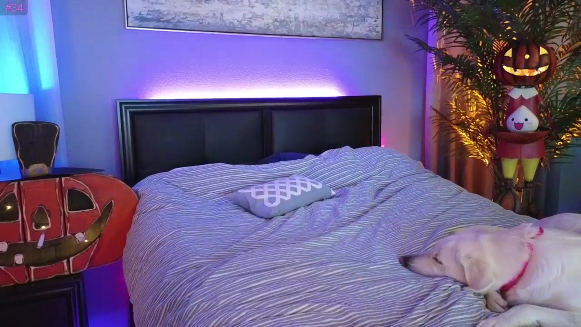 LexxiStar video thumbnail