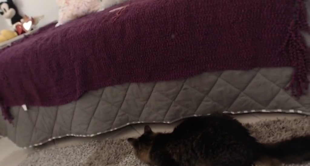 FloraBella_ video thumbnail