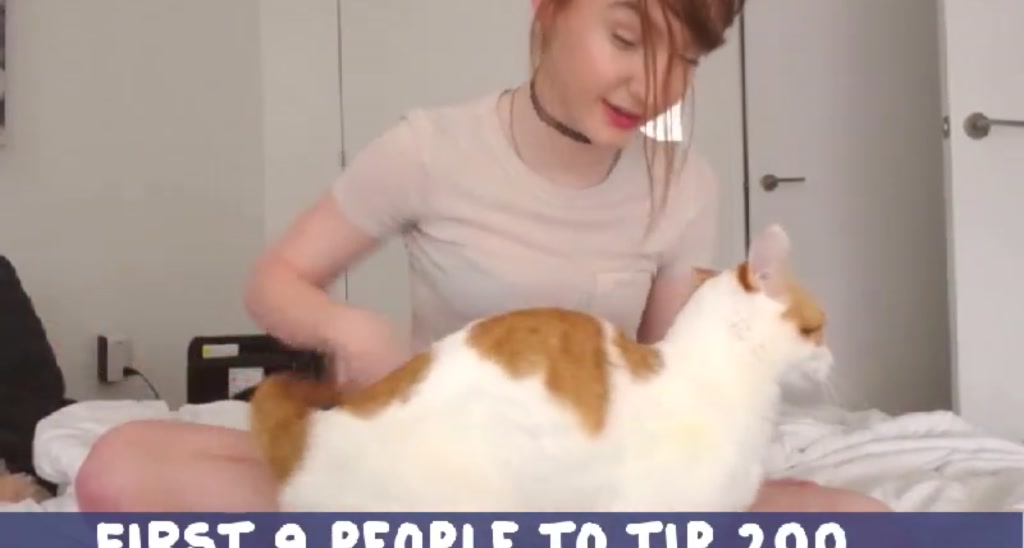 SnugglePunk video thumbnail