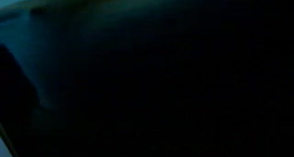 No_bo_dy video thumbnail