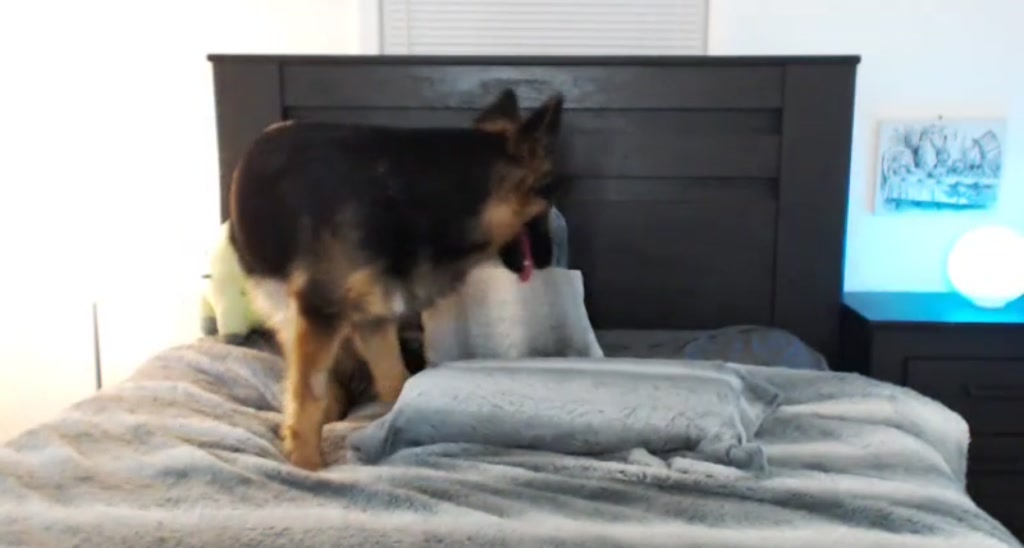 LaraLou video thumbnail